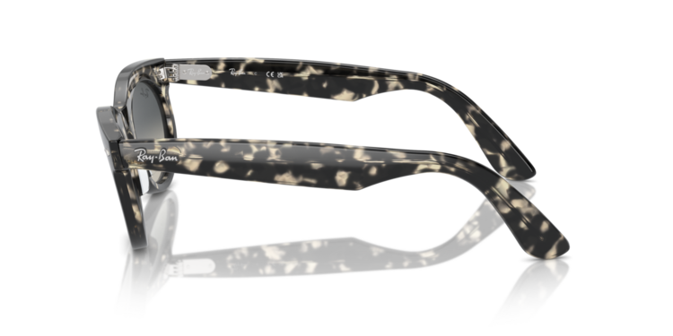 RAY-BAN RAY-BAN Wayfarer Oval Grey Havana Grey