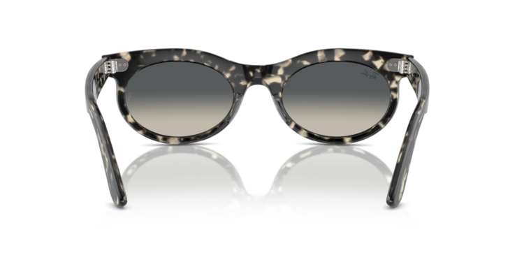 RAY-BAN RAY-BAN Wayfarer Oval Grey Havana Grey