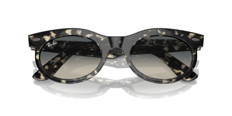 RAY-BAN RAY-BAN Wayfarer Oval Grey Havana Grey