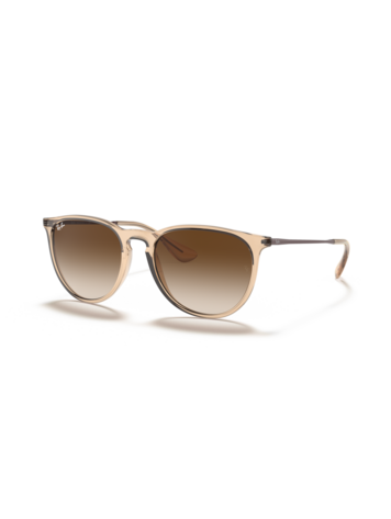 RAY-BAN RAY-BAN Erika Transparent Brown Brown Gradient