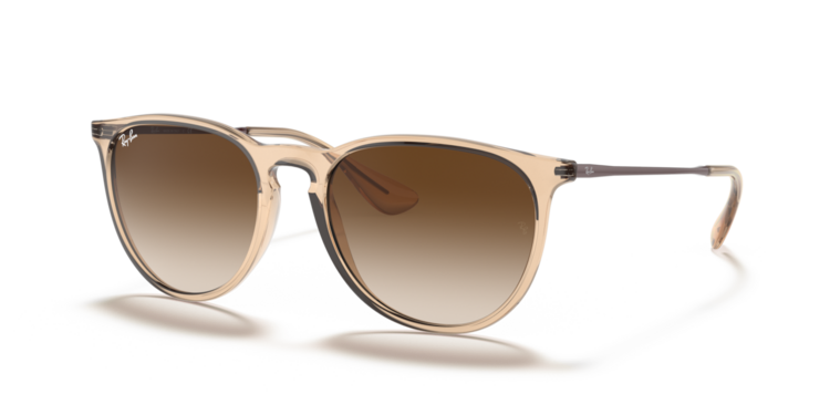 RAY-BAN RAY-BAN Erika Transparent Brown Brown Gradient