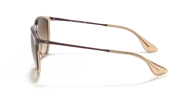 RAY-BAN RAY-BAN Erika Transparent Brown Brown Gradient