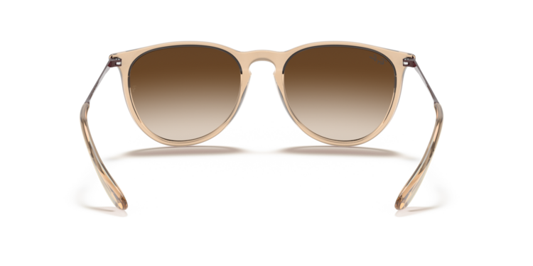 RAY-BAN RAY-BAN Erika Transparent Brown Brown Gradient