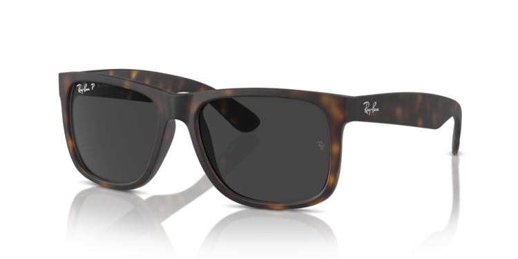 RAY-BAN RAY-BAN Justin Havana Dark Grey