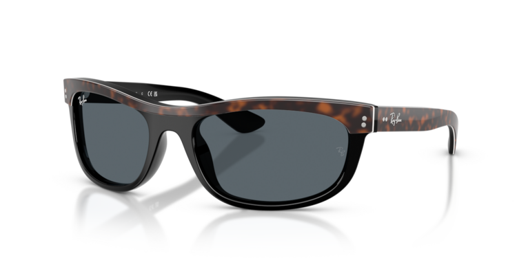 RAY-BAN RAY-BAN Balorama Havana On Black Blue