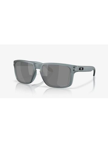 OAKLEY OAKLEY Holbrook Matte Crystal Black Prizm Black Polarized