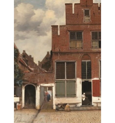 Puzzle Streetview by Johannes Vermeer 1000 Pcs
