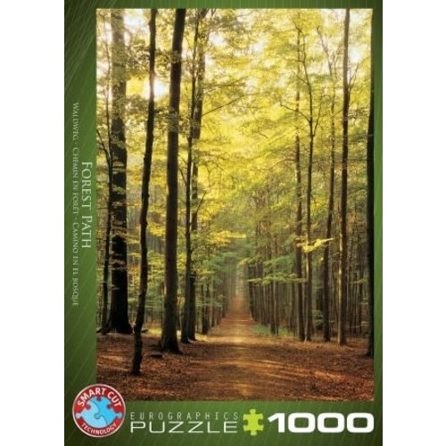 Games Puzzle Forest Path 1000 pc Puzzle Games Puzzle Forest Path 1000 pc Puzzle