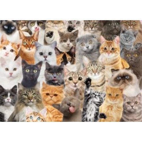 Games Puzzle - All the Cats 1000 pc 28in x 20in Games Puzzle - All the Cats 1000 pc 28in x 20in