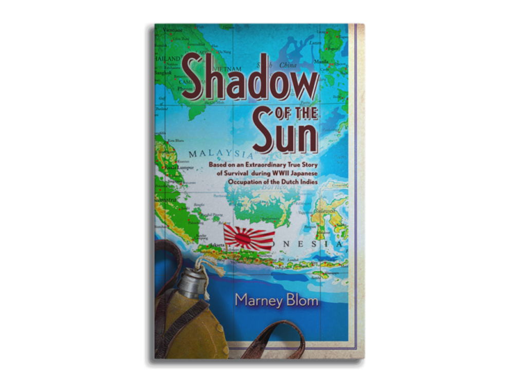 Shadow of the Sun book