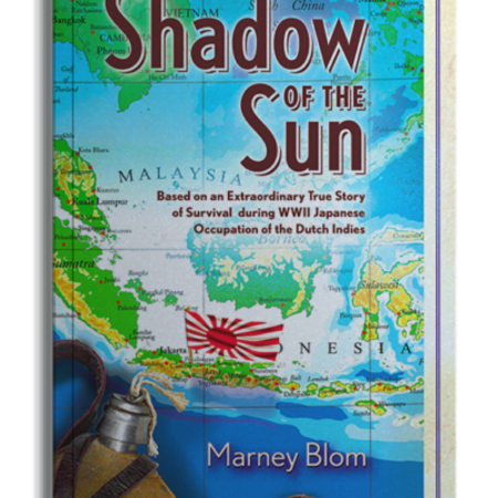 Shadow of the Sun book