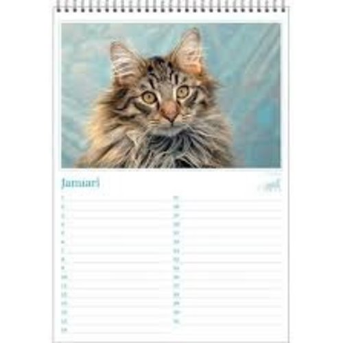 Cats photos Birthday Calendar Cats photos Birthday Calendar