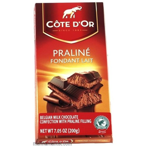 Cote D Or Cote D Or MIlk chocolate praline 7 oz bar Cote D Or Cote D Or MIlk chocolate praline 7 oz bar