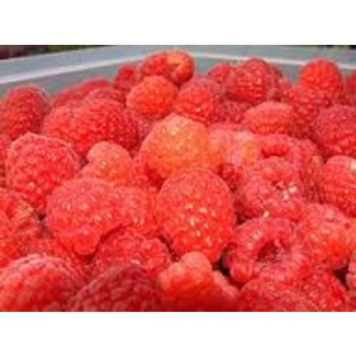 Cranes Cranes Red Raspberry preserves 12 Oz Cranes Cranes Red Raspberry preserves 12 Oz