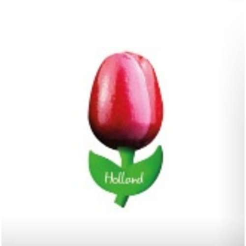 Tulip on Magnet Red/White Tulip on Magnet Red/White