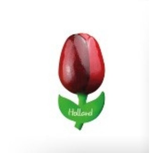 Tulip on Magnet Red/Aubergine Tulip on Magnet Red/Aubergine