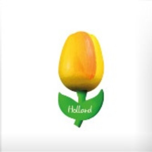 Tulip on Magnet Yellow/Orange Tulip on Magnet Yellow/Orange