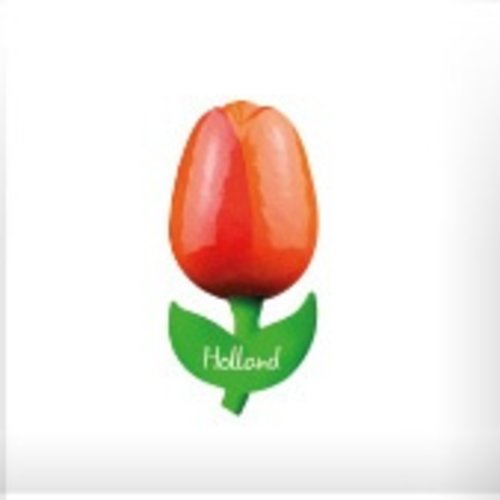 Tulip on Magnet Orange/Red Tulip on Magnet Orange/Red