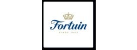 Fortuin