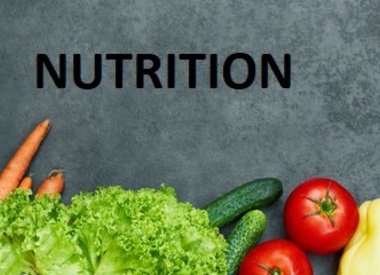 Personalized Nutrition