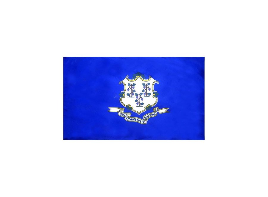 Connecticut Flag with Polesleeve