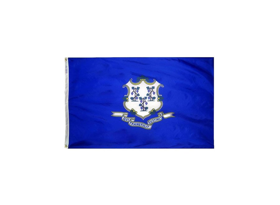 12x18 in. Connecticut Nautical Flag