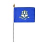 Connecticut Stick Flag