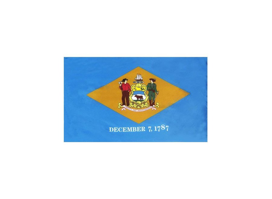 Delaware Flag with Polesleeve