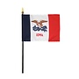 Iowa Stick Flag