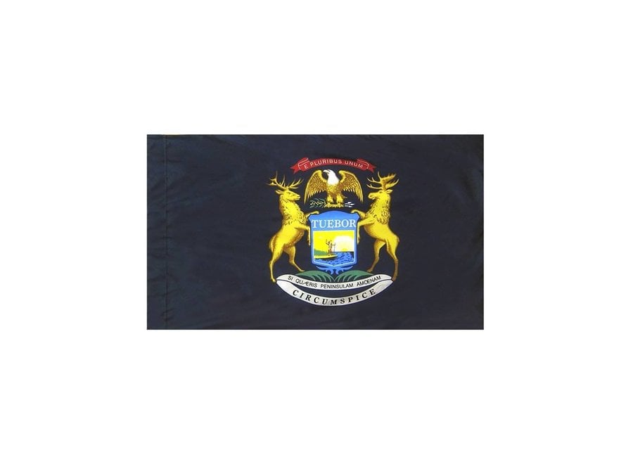 Michigan Flag with Polesleeve