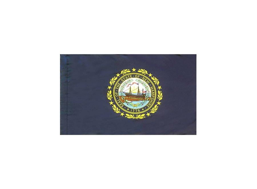 New Hampshire Flag with Polesleeve