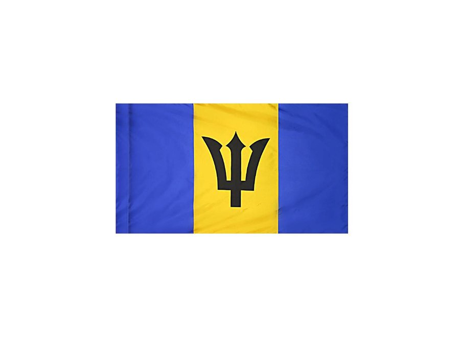 Barbados Flag with Polesleeve