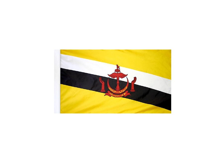 Brunei Flag with Polesleeve