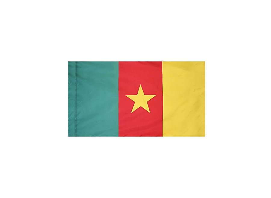 Cameroon Flag with Polesleeve