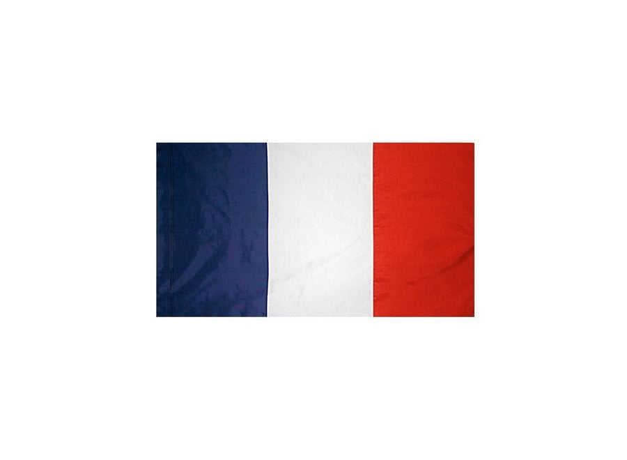 France Flag with Polesleeve