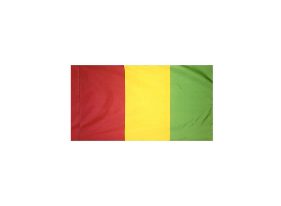 Guinea Flag with Polesleeve