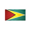 Guyana Flag with Polesleeve