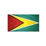Guyana Flag with Polesleeve