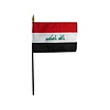 Iraq Stick Flag 4x6 in