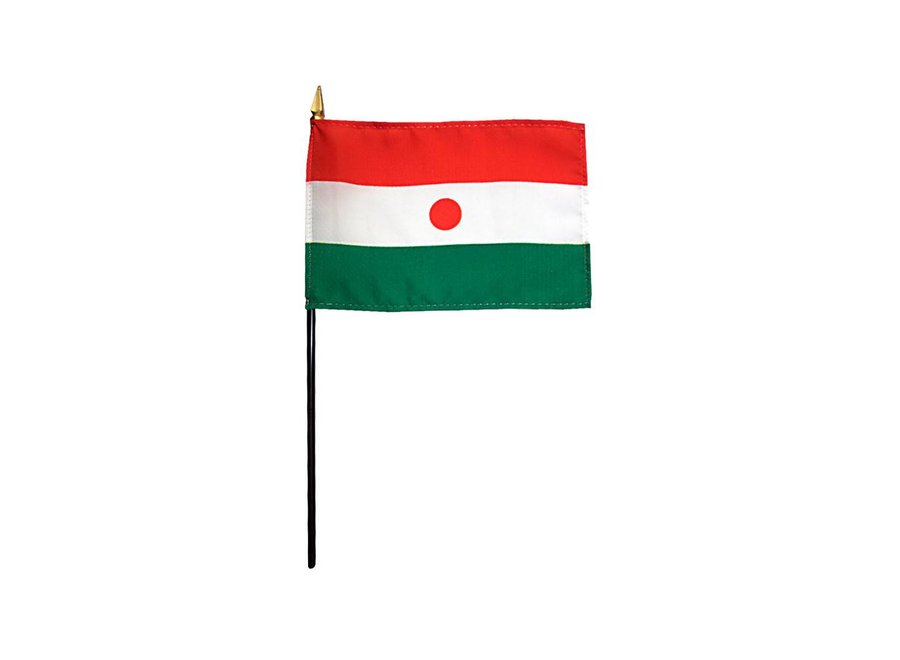 Niger Stick Flag 4x6 in