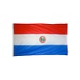 Paraguay Flag