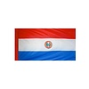 Paraguay Flag with Polesleeve
