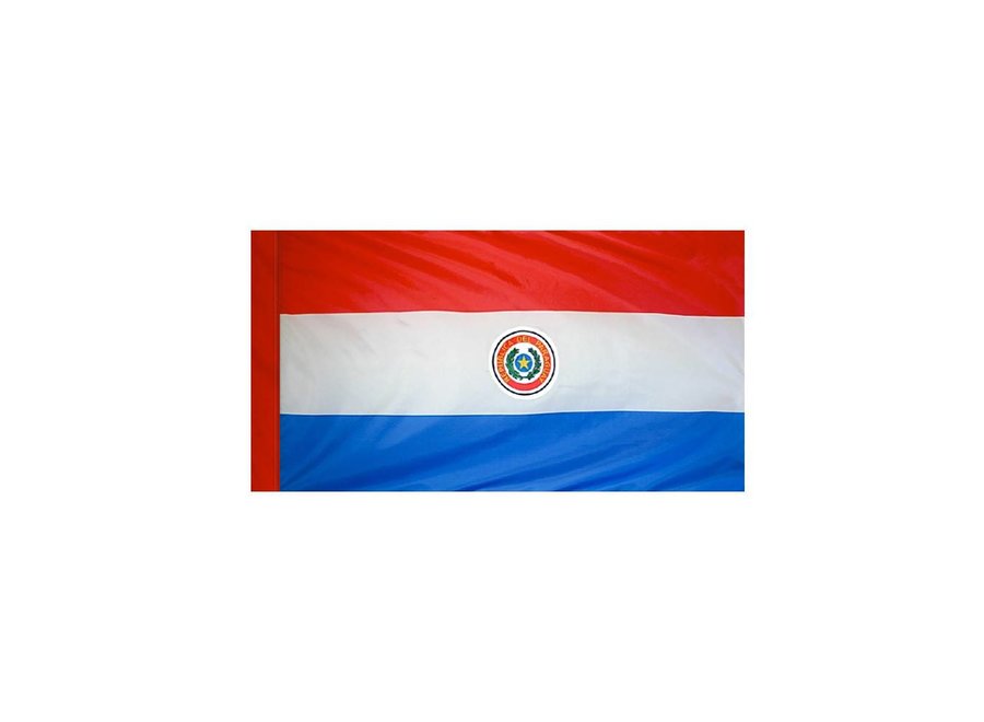 Paraguay Flag with Polesleeve