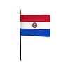 Paraguay Stick Flag 4x6 in