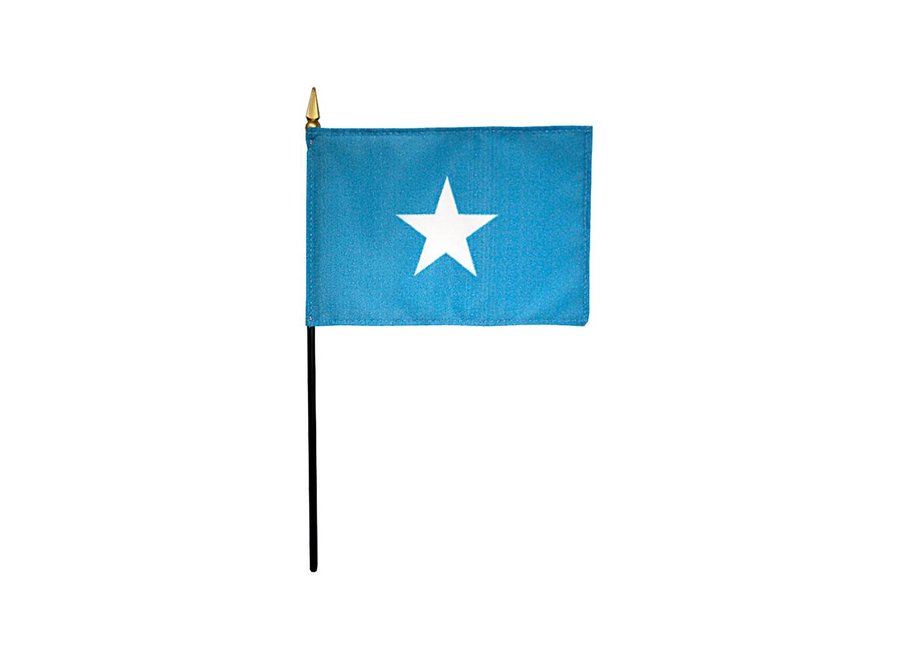 Somalia Stick Flag 4x6 in