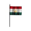 Tajikistan Stick Flag 4x6 in