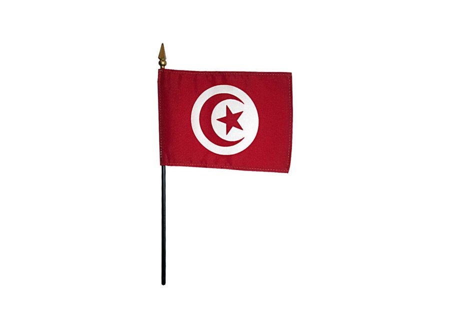 Tunisia Stick Flag 4x6 in