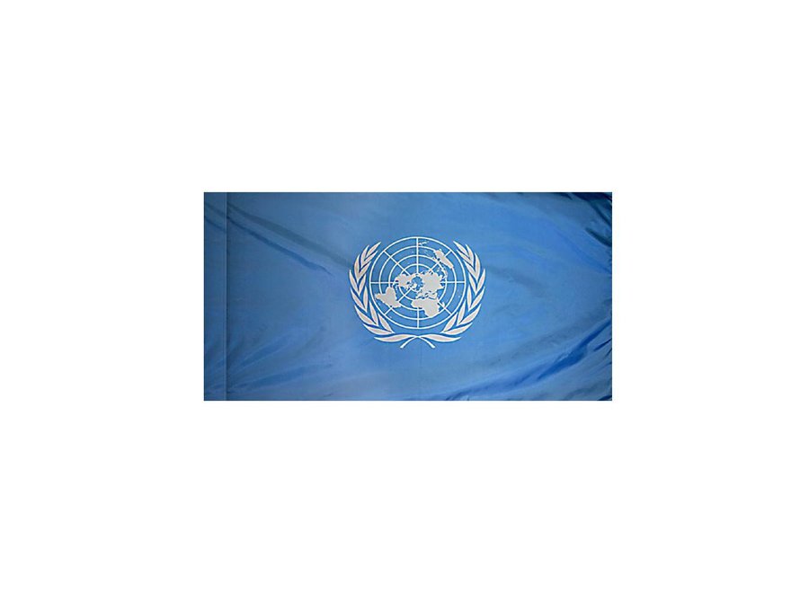 United Nations Flag with Polesleeve