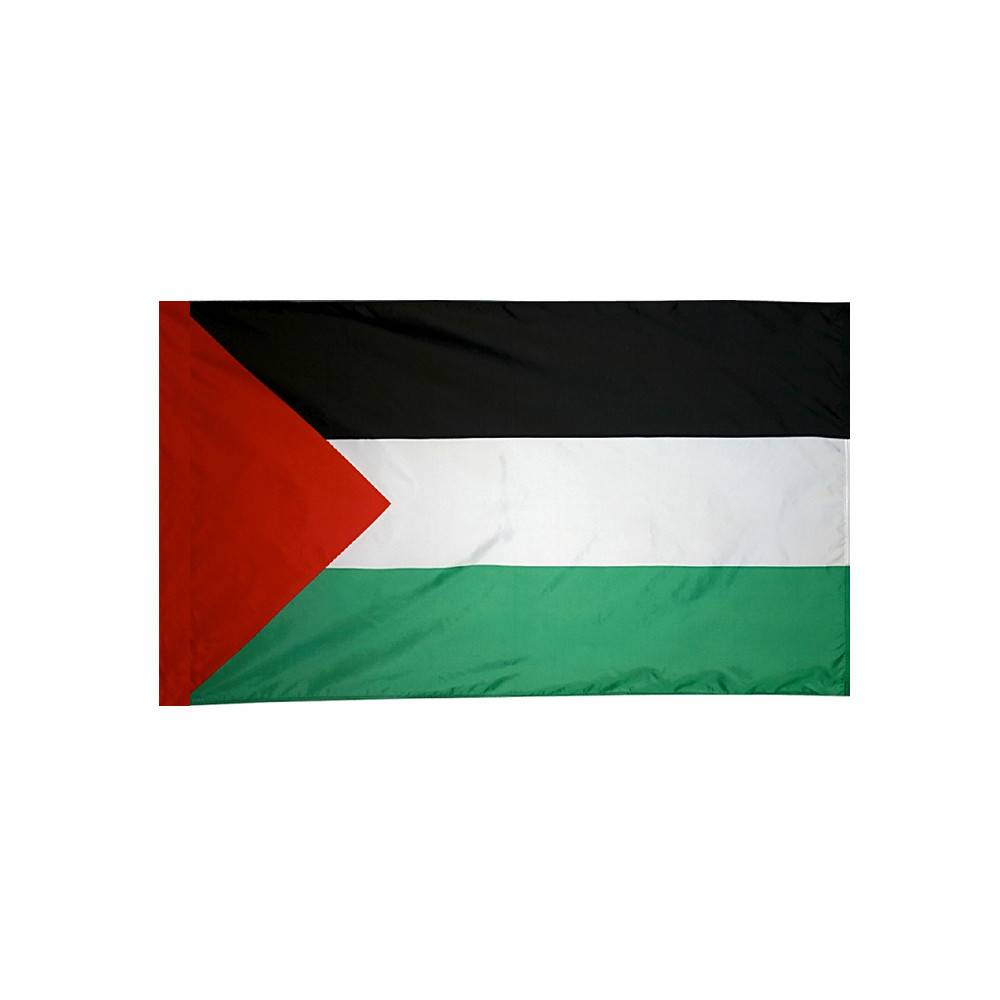 оккупированные палестинские территории флаг. флаг палестины. какой флаг у палестины. какой флаг у палестины. развивающийся флаг палестины.