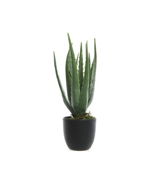 Aloe artificielle en pot - 13,5"